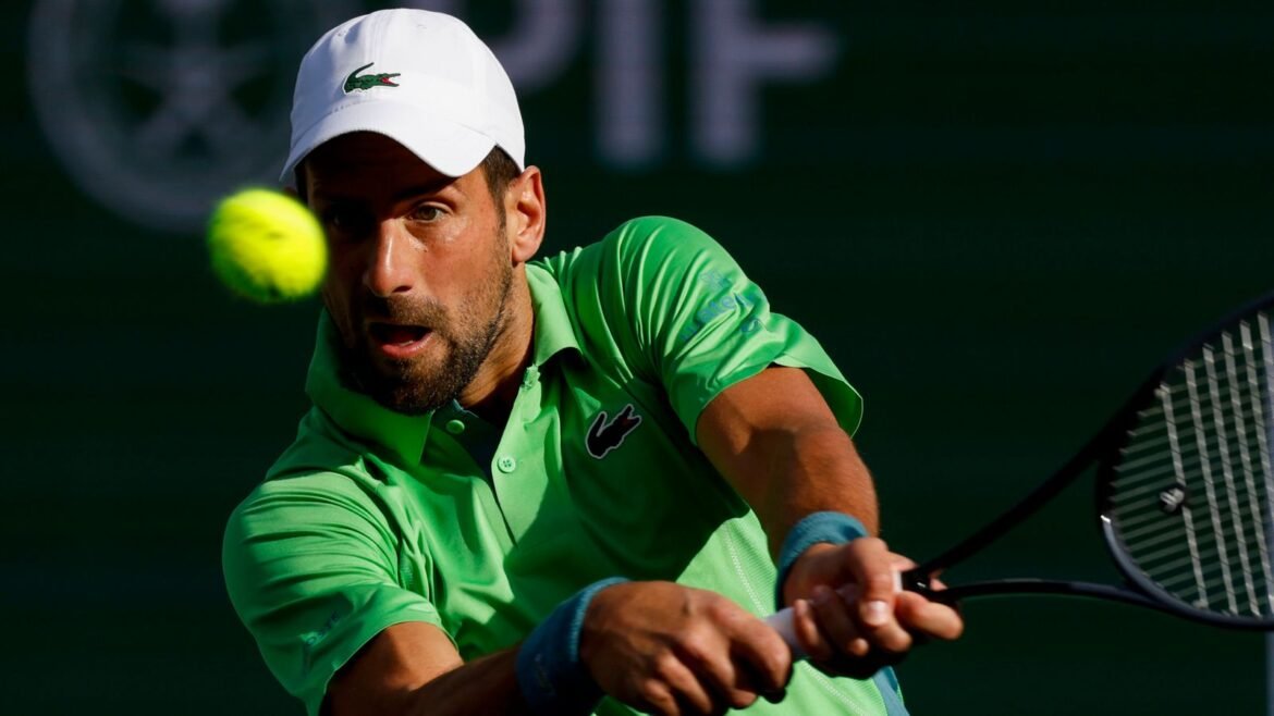skysports-novak-djokovic-tennis_6485437.jpg