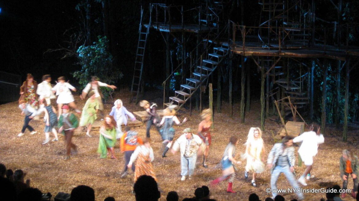 shakespeare-in-the-park-nyc.jpg