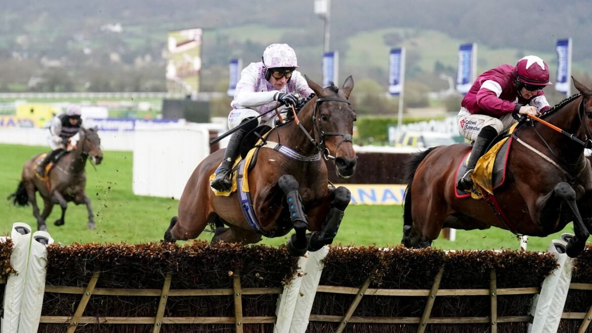 skysports-horseracing-cheltenham_6490385.jpg