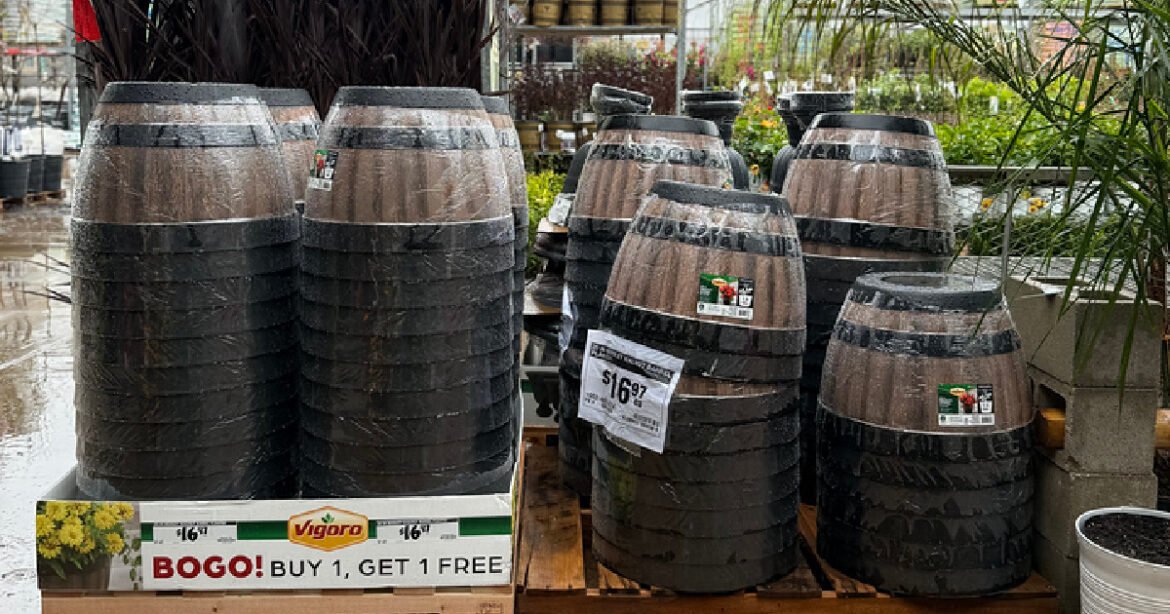 home-depot-wine-barrel-planters-1.jpg