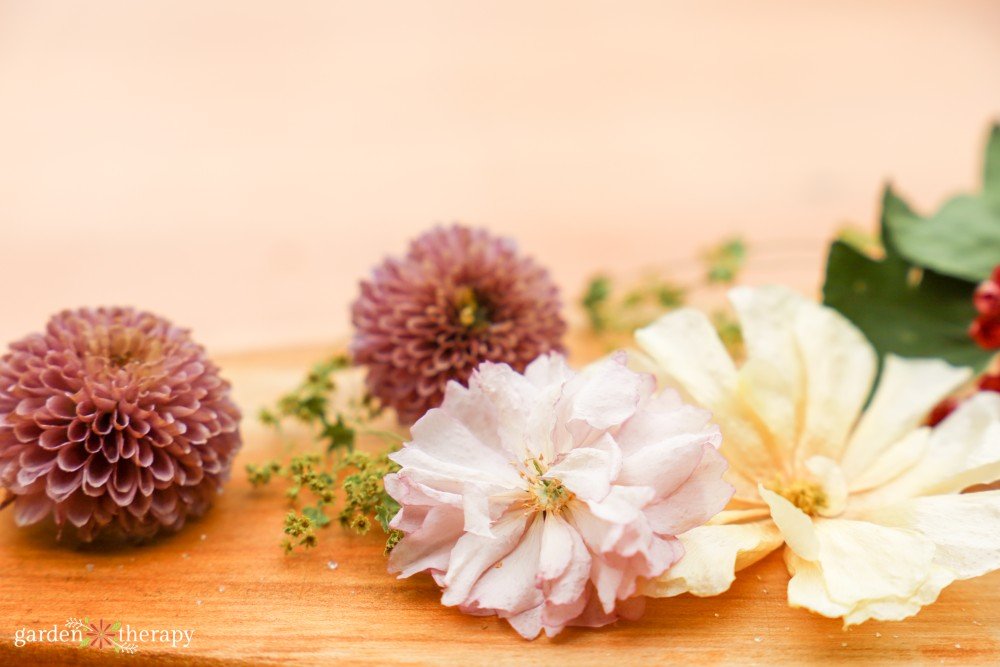 How-to-preserve-flowers-with-silica-gel.jpg